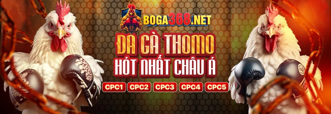 Cá cược bóng đá sv66