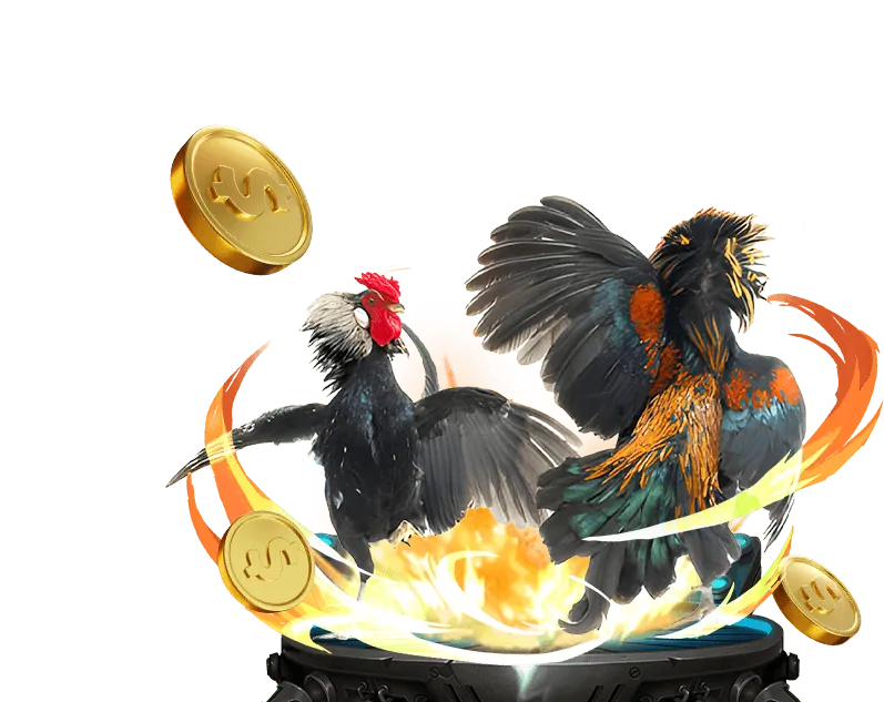 Lợi ích khi chơi đá gà tại SV66 Casino