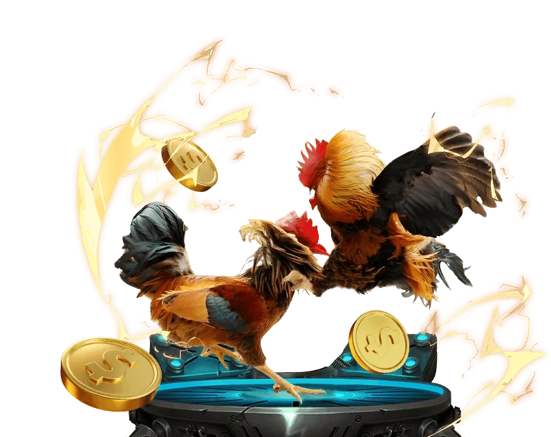 Mẹo cá cược đá gà hiệu quả từ SV66 Casino